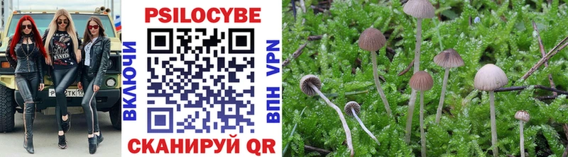 Псилоцибиновые грибы Cubensis Калач